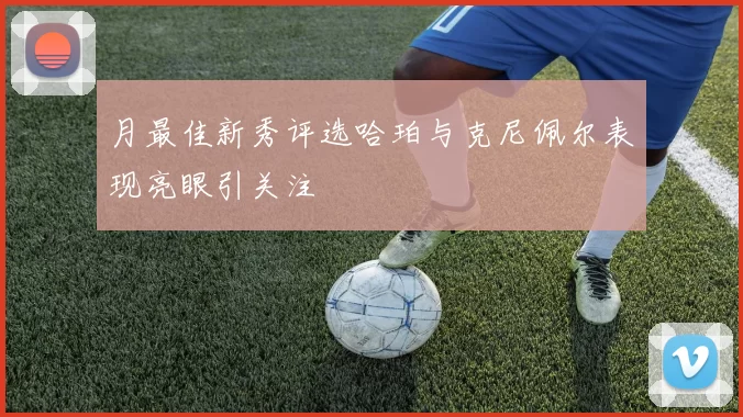 月最佳新秀评选哈珀与克尼佩尔表现亮眼引关注